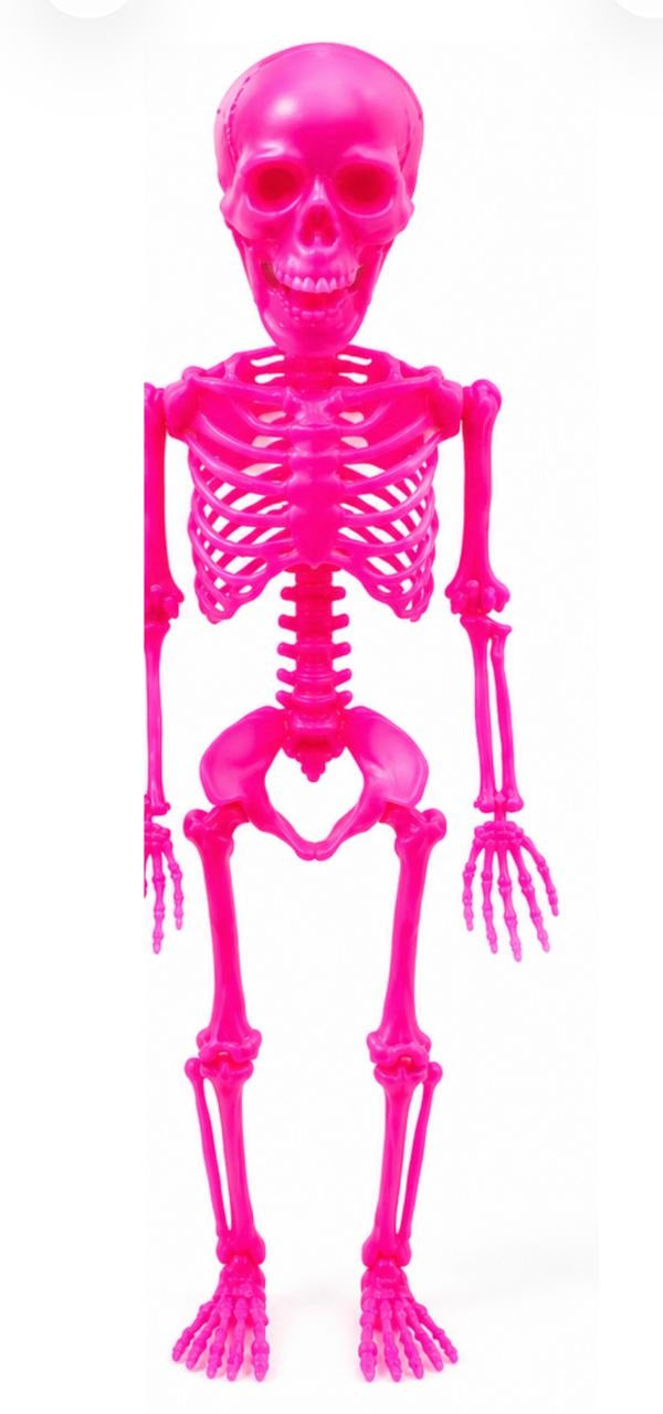 Esqueleto Rosa Fluor 60 cm