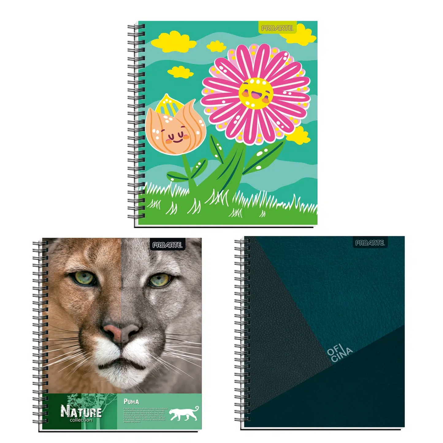 Pack Cuadernos Universitarios