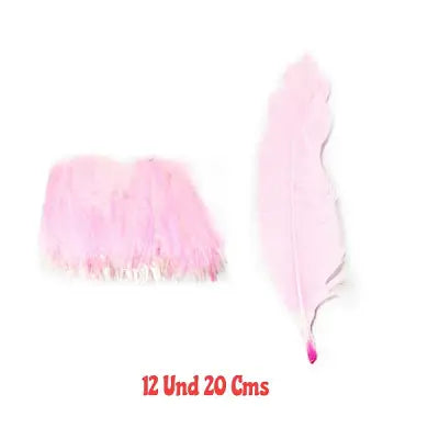 Set Plumas Rosado Vieri