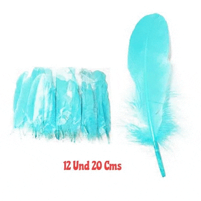 Set de Plumas Calipso 12 unidades aprox. Vieri