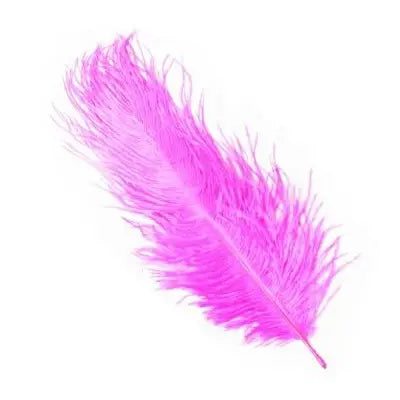 Pluma Fucsia 20 cms Vieri