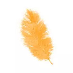 Pluma Naranja Vieri