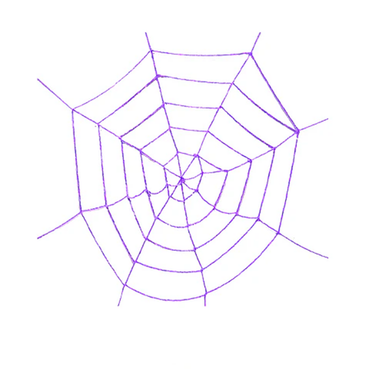 Tela de Araña Morada  180 cms.